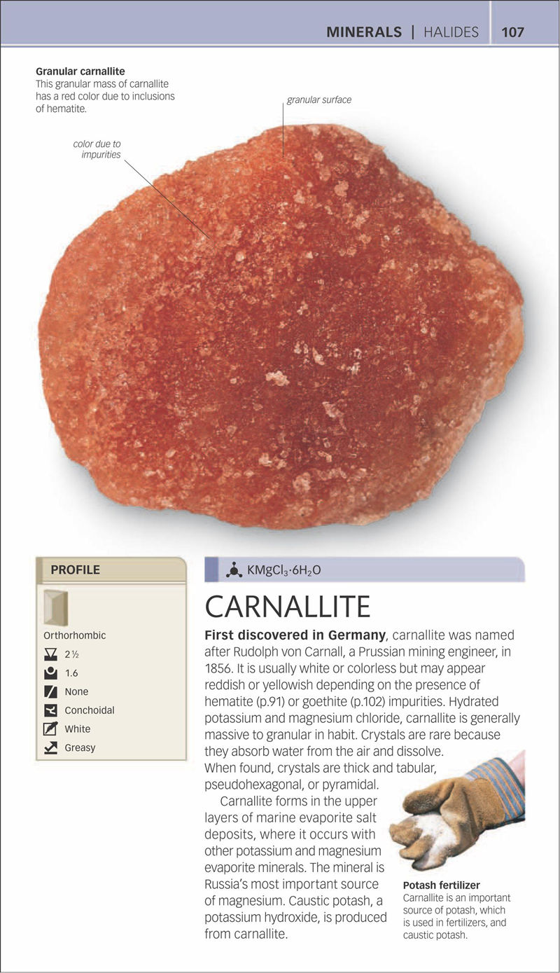[画集]Nature Guide Rocks and Minerals[353P]