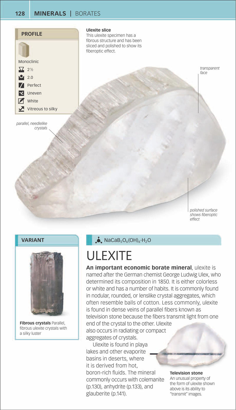 [画集]Nature Guide Rocks and Minerals[353P]