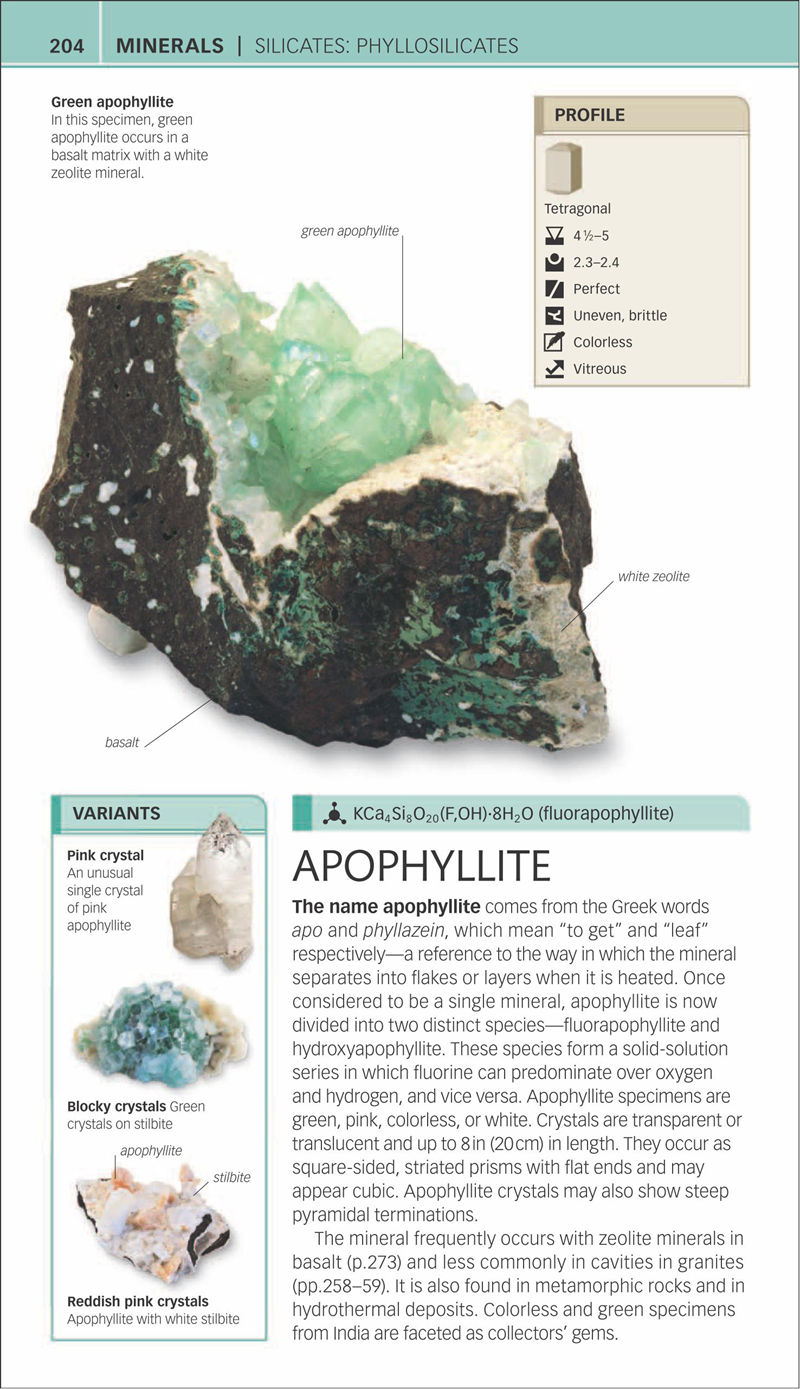 [画集]Nature Guide Rocks and Minerals[353P]