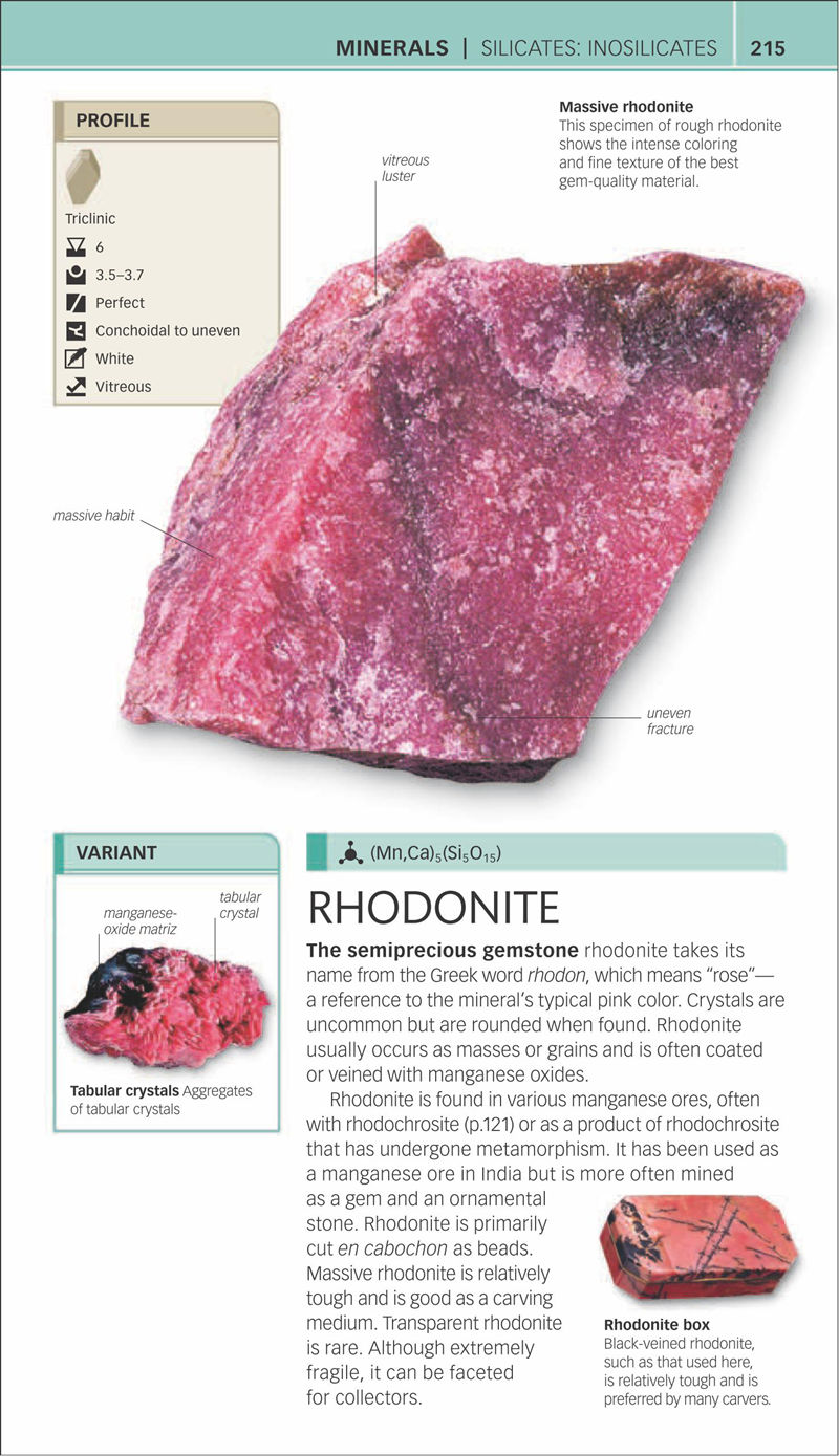 [画集]Nature Guide Rocks and Minerals[353P]