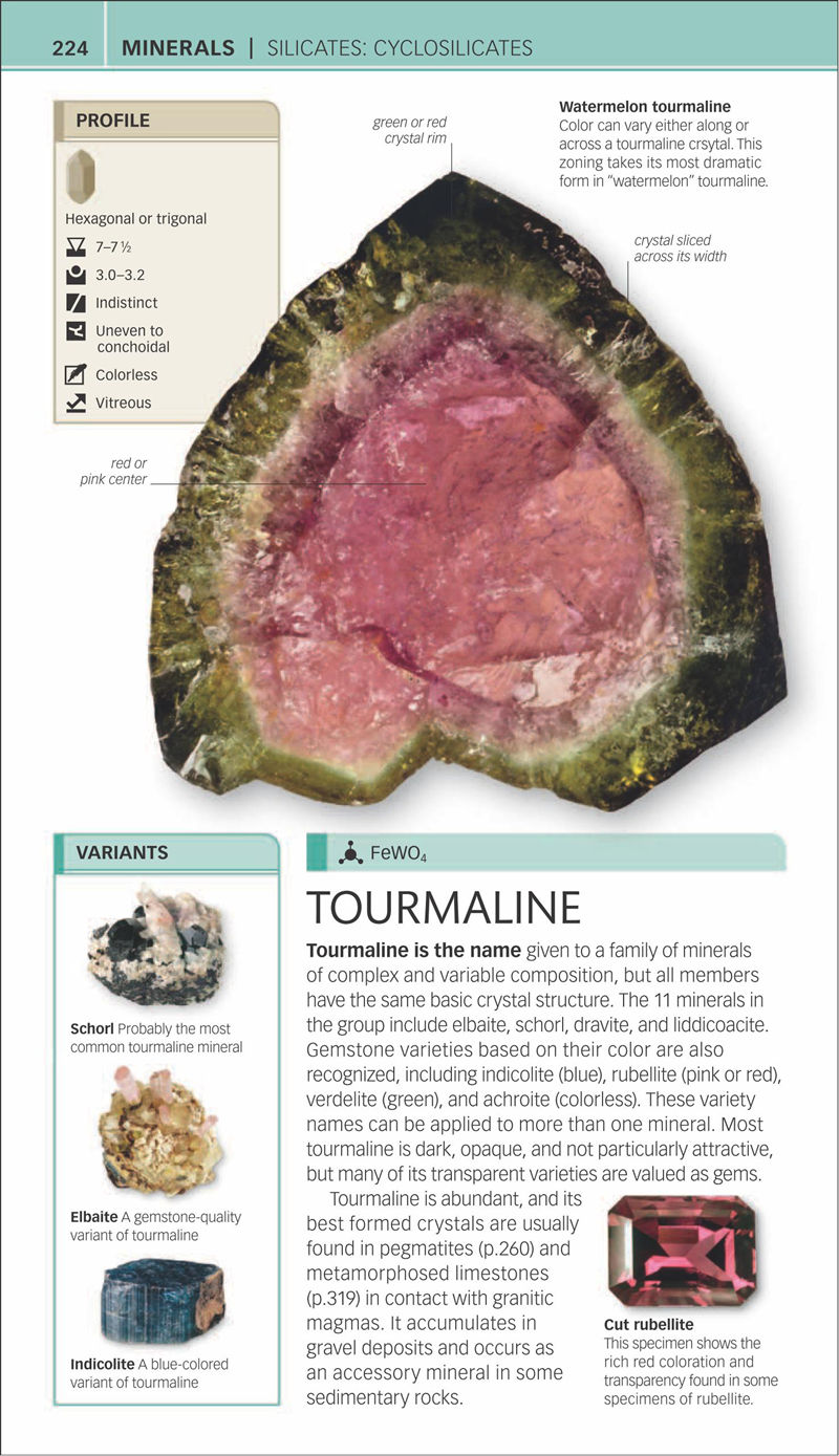 [画集]Nature Guide Rocks and Minerals[353P]