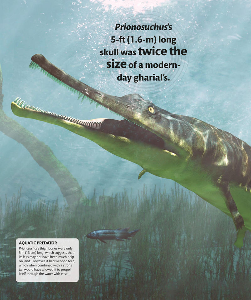 [画集]Super Dinosaur Encyclopedia[192P]