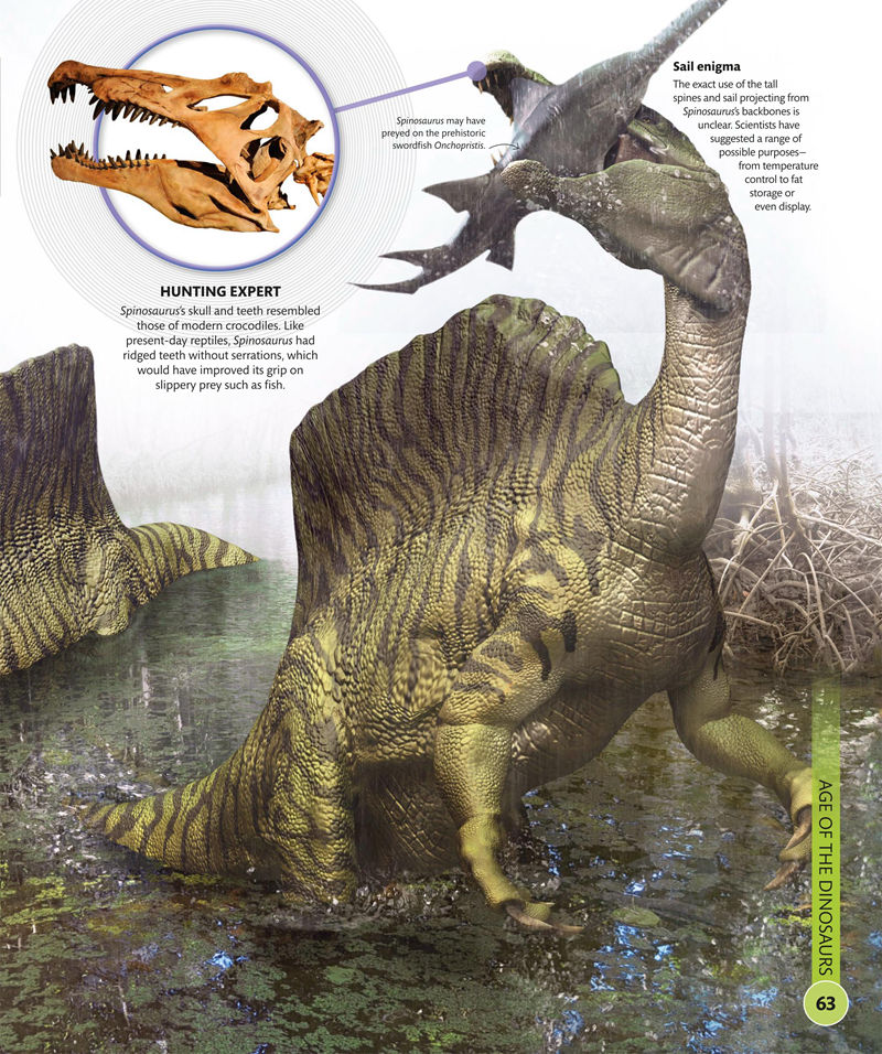 [画集]Super Dinosaur Encyclopedia[192P]