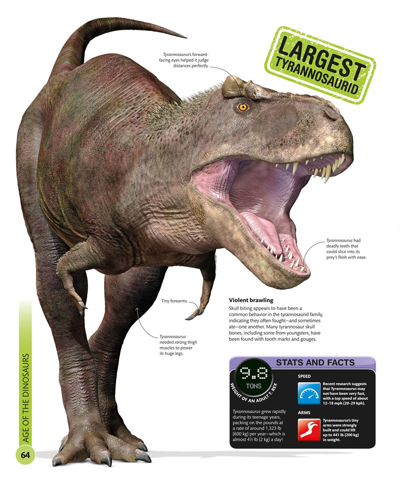 [画集]Super Dinosaur Encyclopedia[192P]