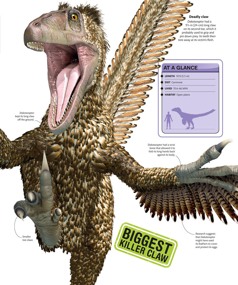 [画集]Super Dinosaur Encyclopedia[192P]