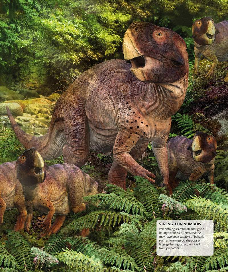 [画集]Super Dinosaur Encyclopedia[192P]