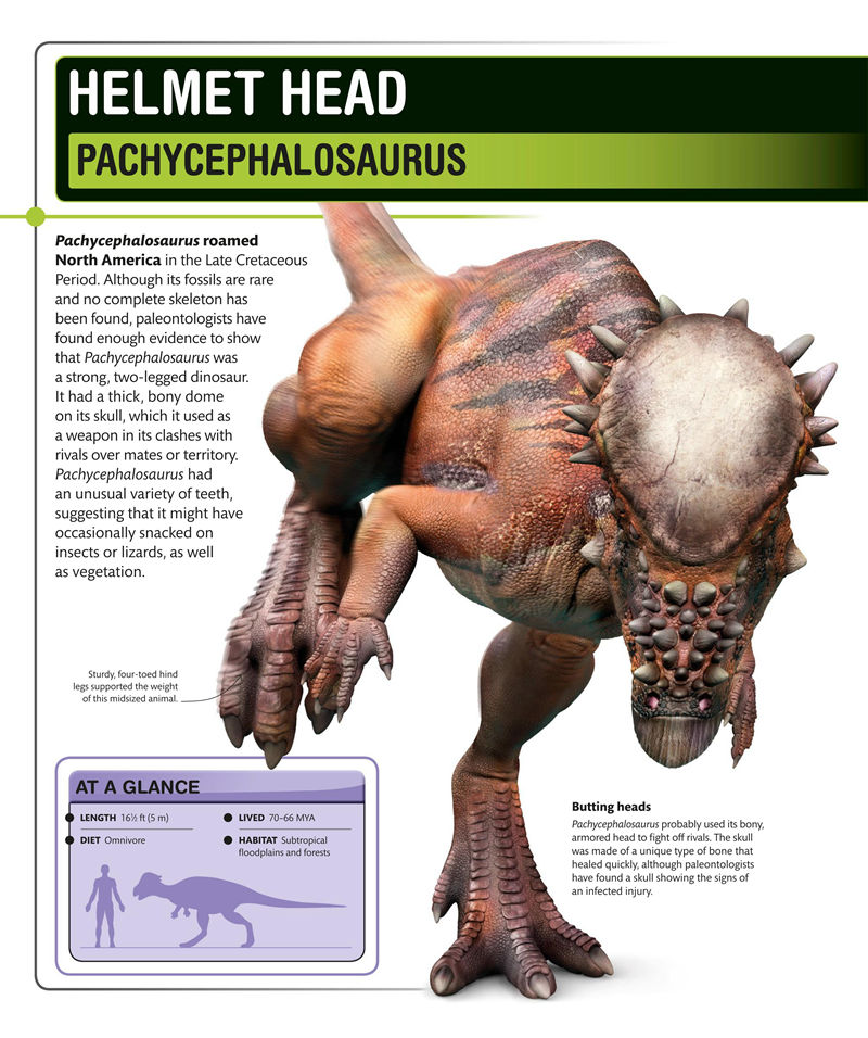 [画集]Super Dinosaur Encyclopedia[192P]