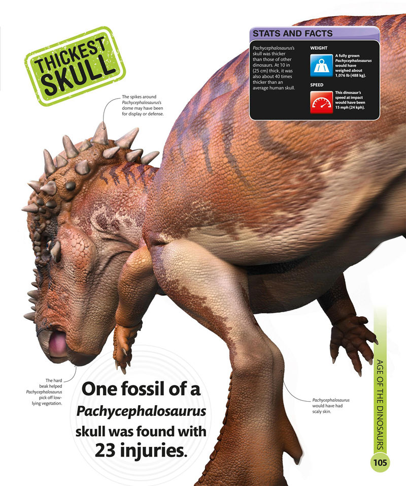 [画集]Super Dinosaur Encyclopedia[192P]