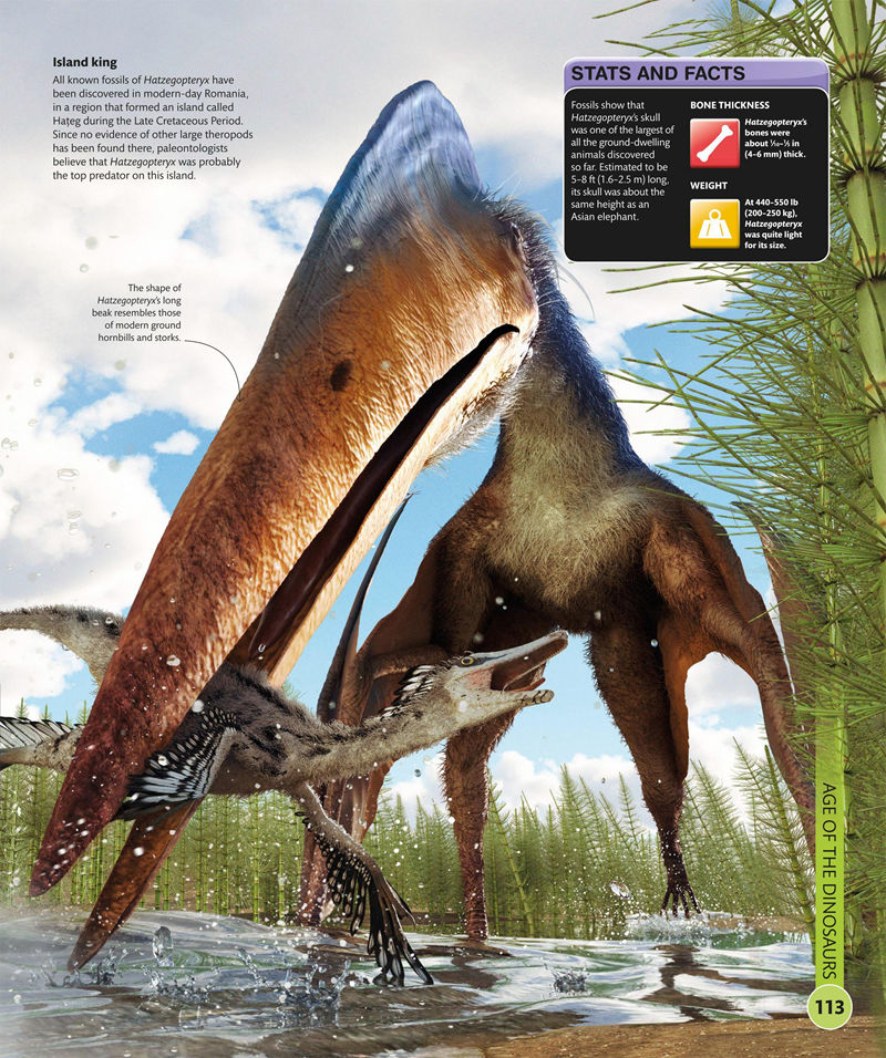 [画集]Super Dinosaur Encyclopedia[192P]