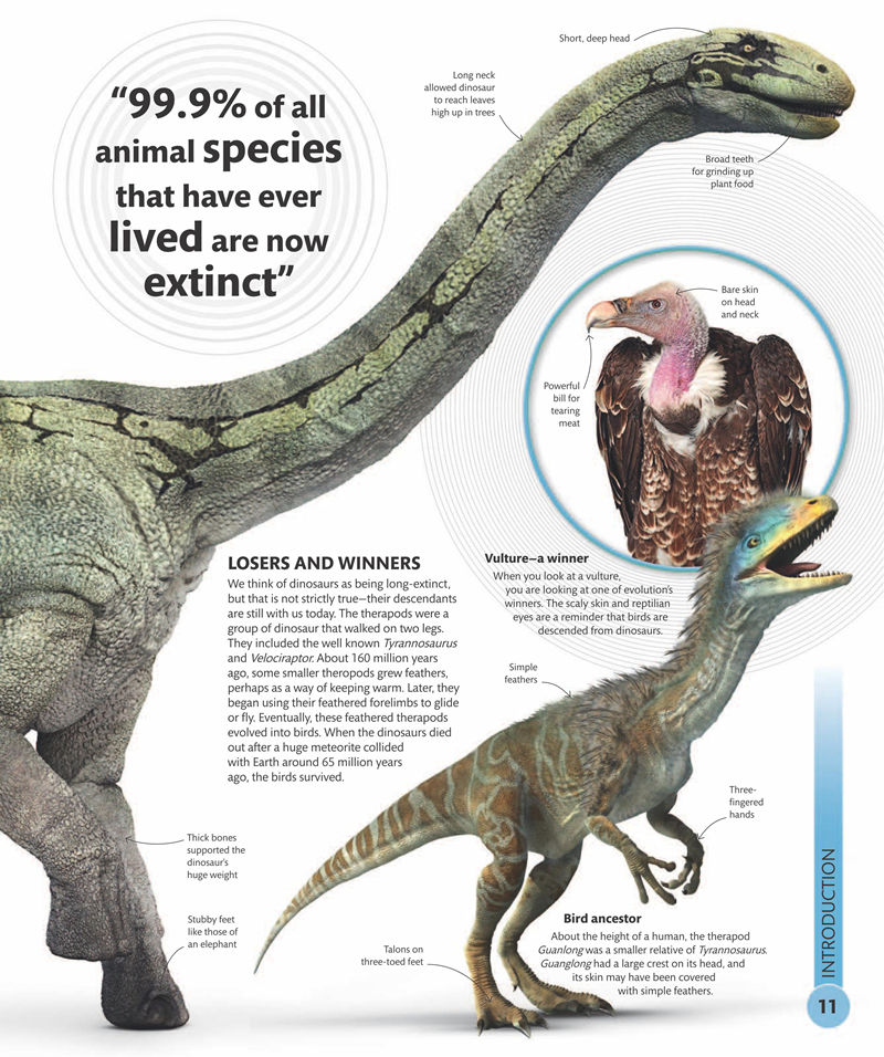 [画集]Super Nature Encyclopedia[258P]
