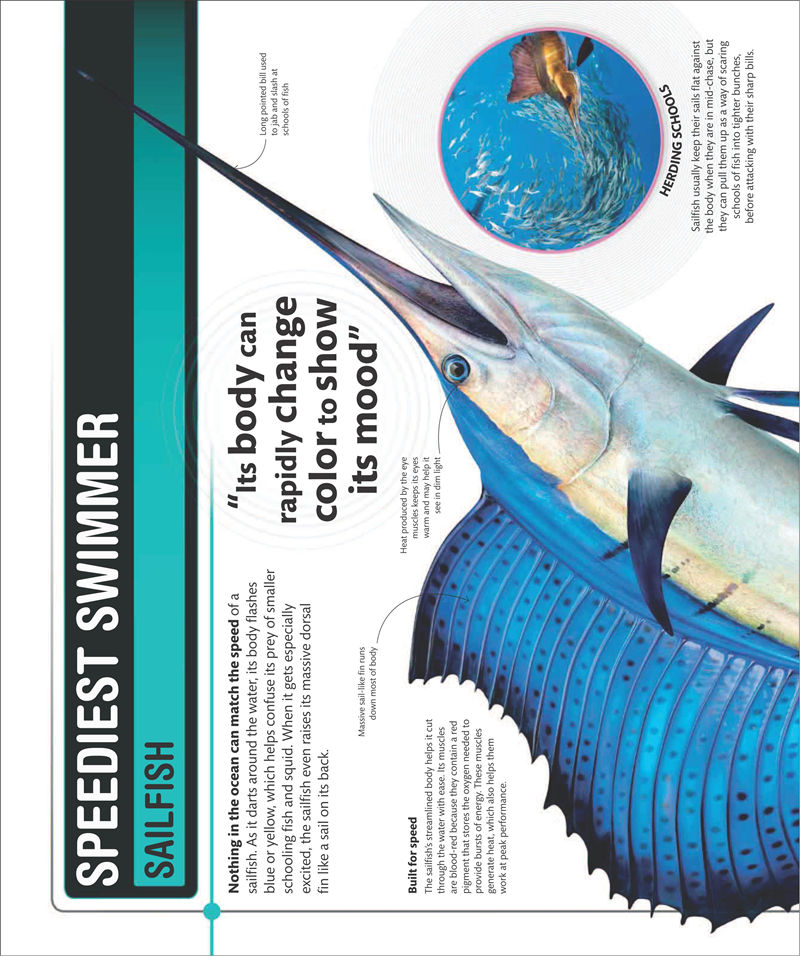 [画集]Super Shark Encyclopedia[210P]