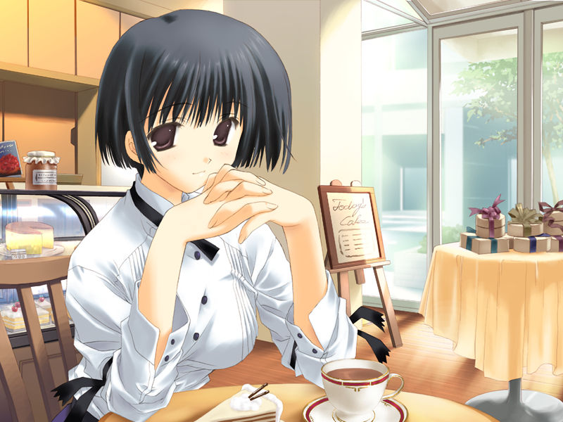 [游戏CG][なかむらたけし みつみ美里]天使のいない12月 精选CG[135P]