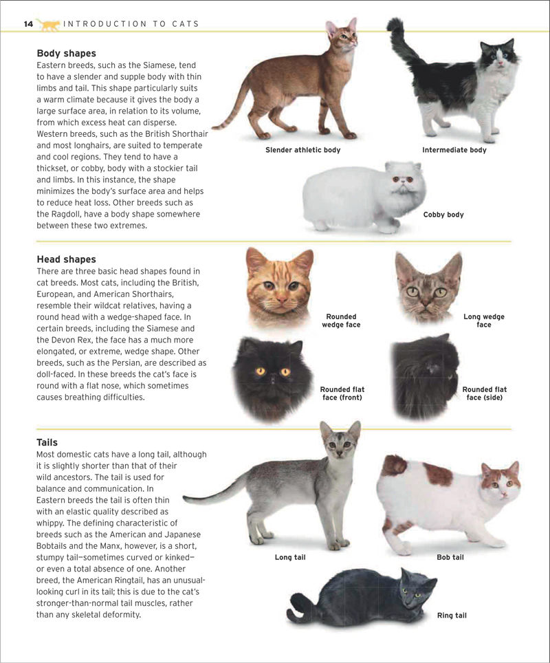 [画集]The Complete Cat Breed Book[257P]