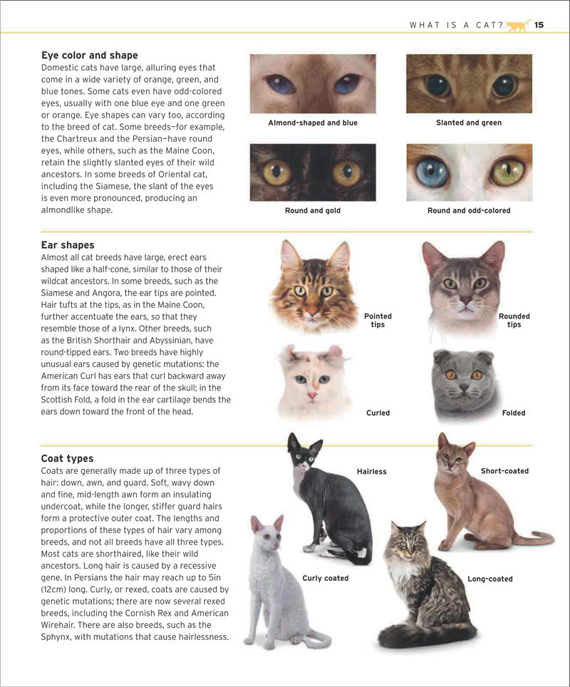 [画集]The Complete Cat Breed Book[257P]