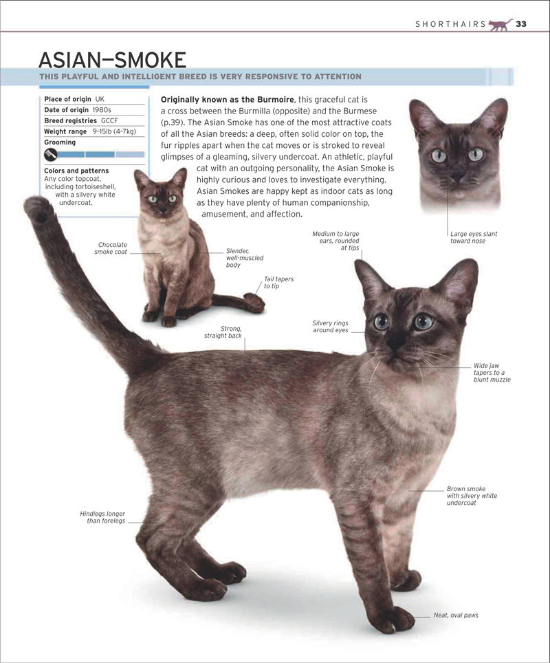 [画集]The Complete Cat Breed Book[257P]