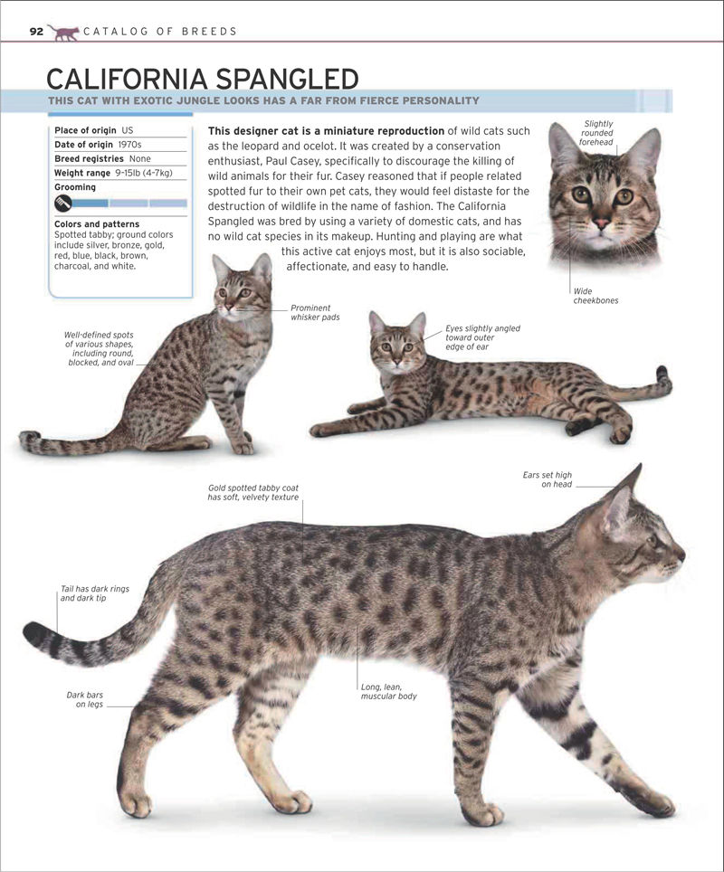 [画集]The Complete Cat Breed Book[257P]