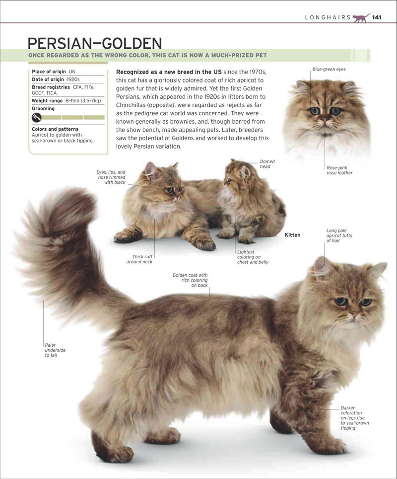 [画集]The Complete Cat Breed Book[257P]