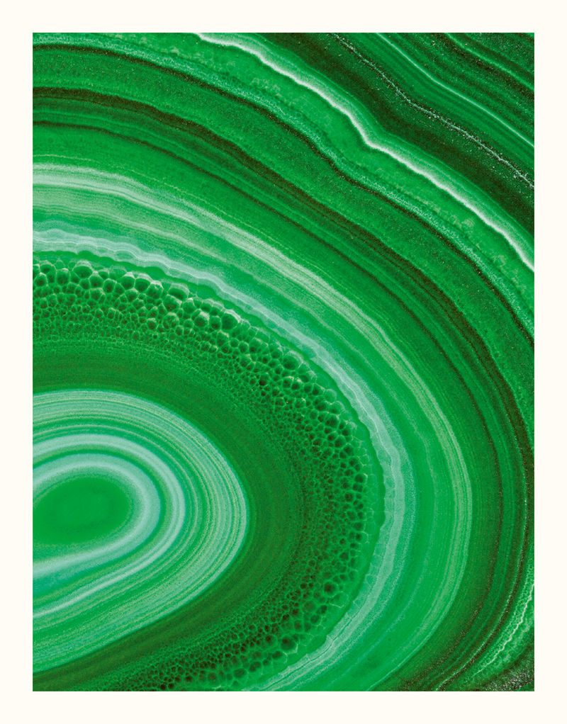 [画集]The Wonders of Nature[226P]
