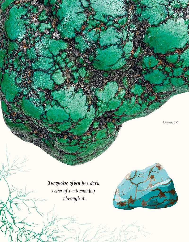 [画集]The Wonders of Nature[226P]