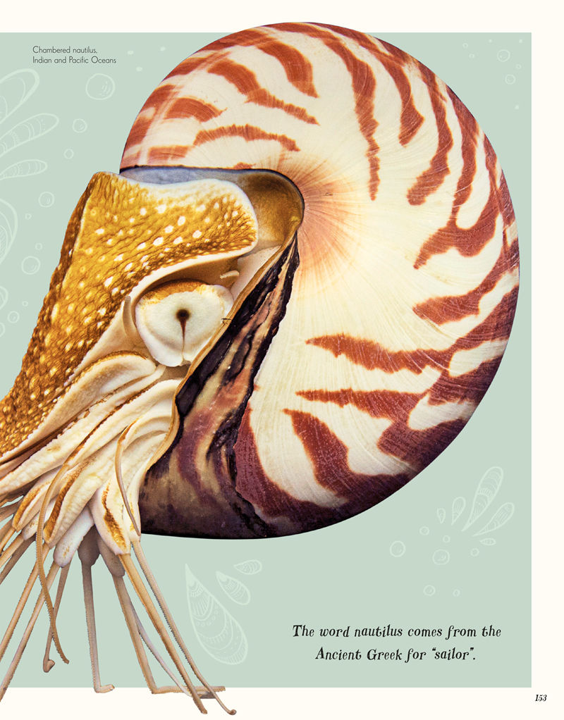 [画集]The Wonders of Nature[226P]