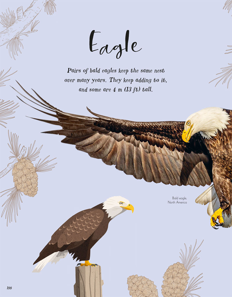 [画集]The Wonders of Nature[226P]