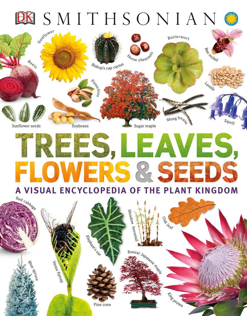[画集]Trees, Leaves, Flowers and Seeds A Visual Encyclopedia of the Plant Kingdom[192P]