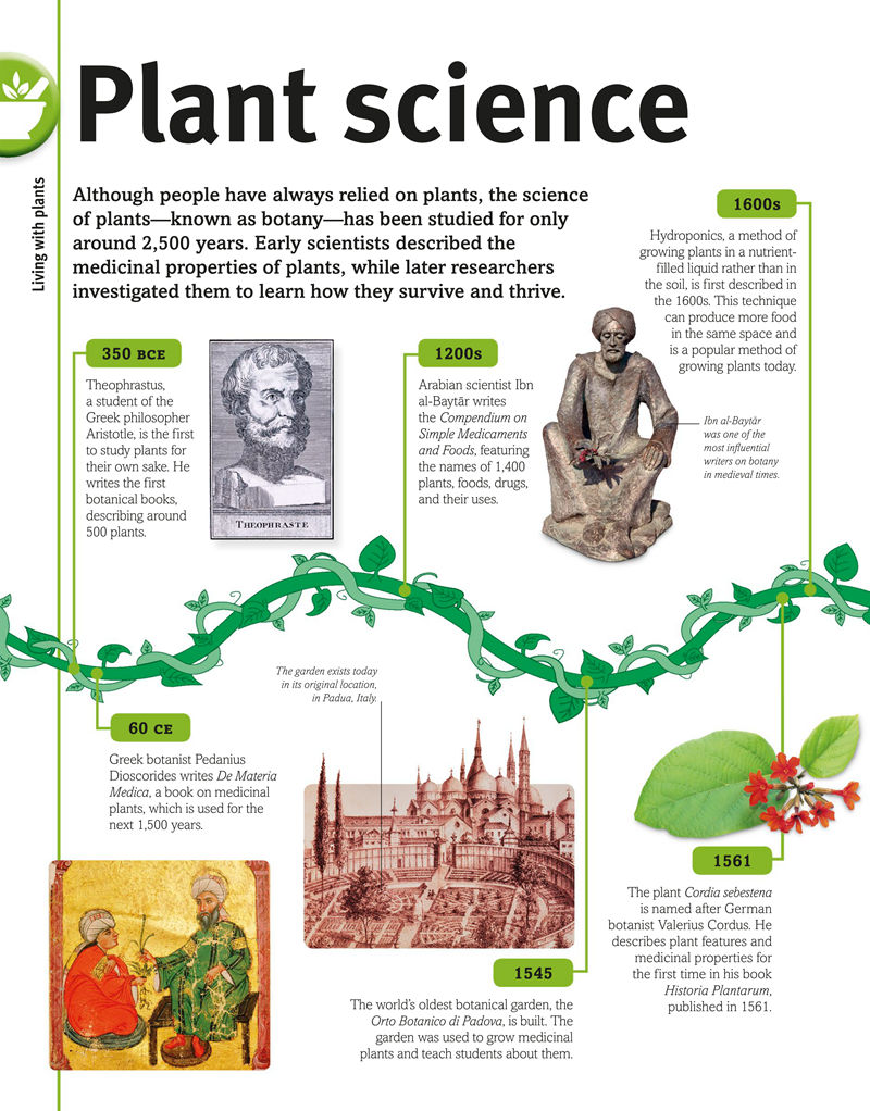 [画集]Trees, Leaves, Flowers and Seeds A Visual Encyclopedia of the Plant Kingdom[192P]