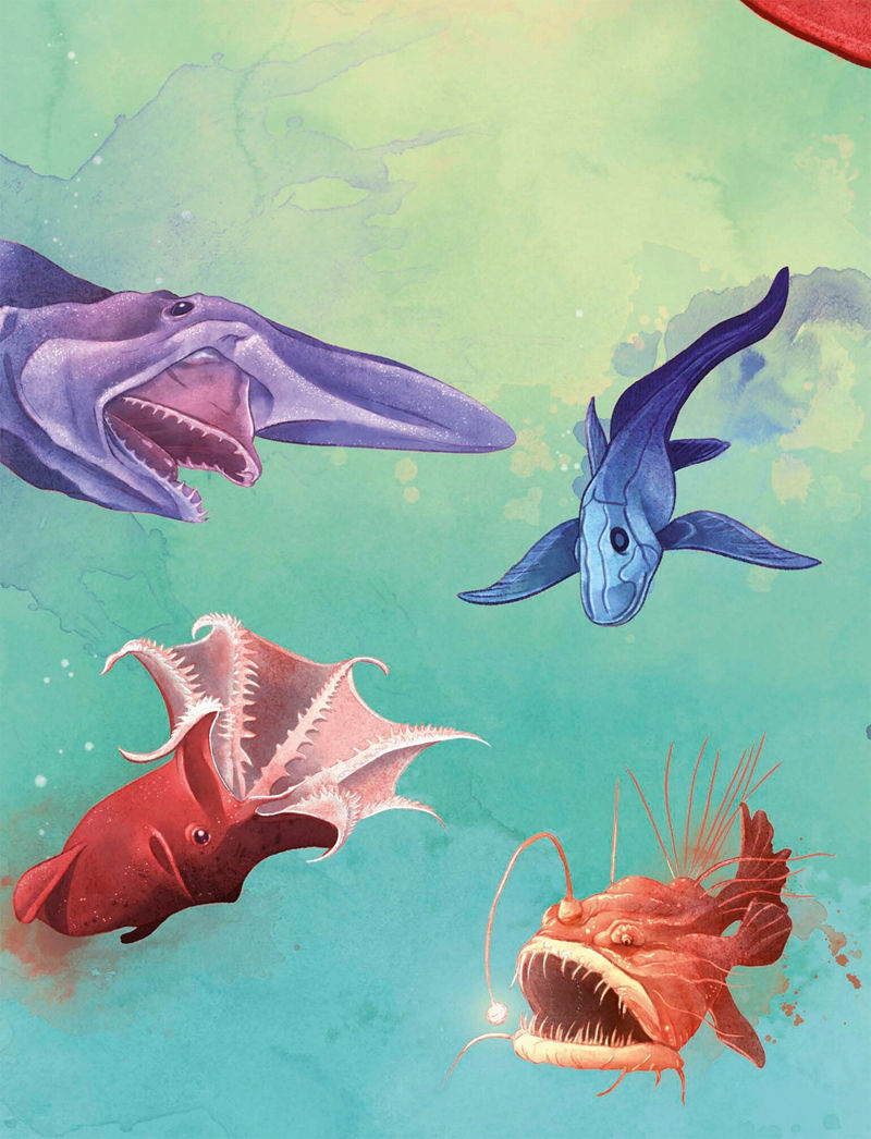 [画集]Underwater World[81P]