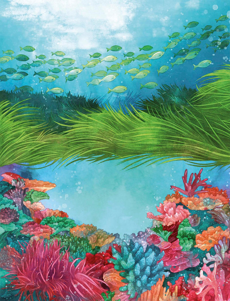 [画集]Underwater World[81P]