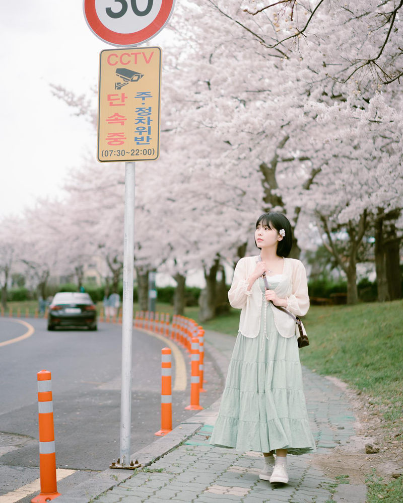 [摄影图包][Kim Jihun(cocographer)]instagram图包[2916P]