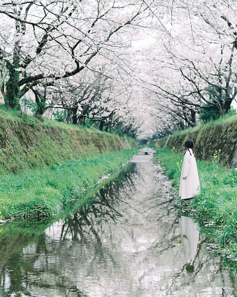 [摄影图包][ひろ(hiro_photograph)]instagram图包[1324P]