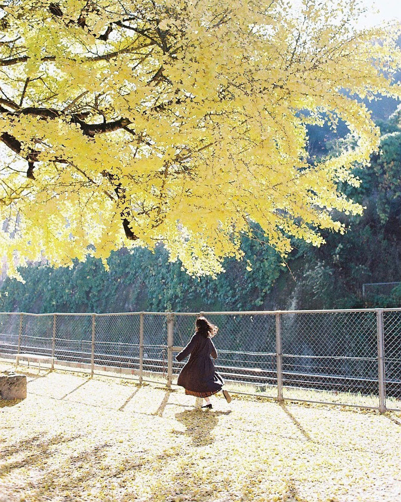 [摄影图包][ひろ(hiro_photograph)]instagram图包[1324P]