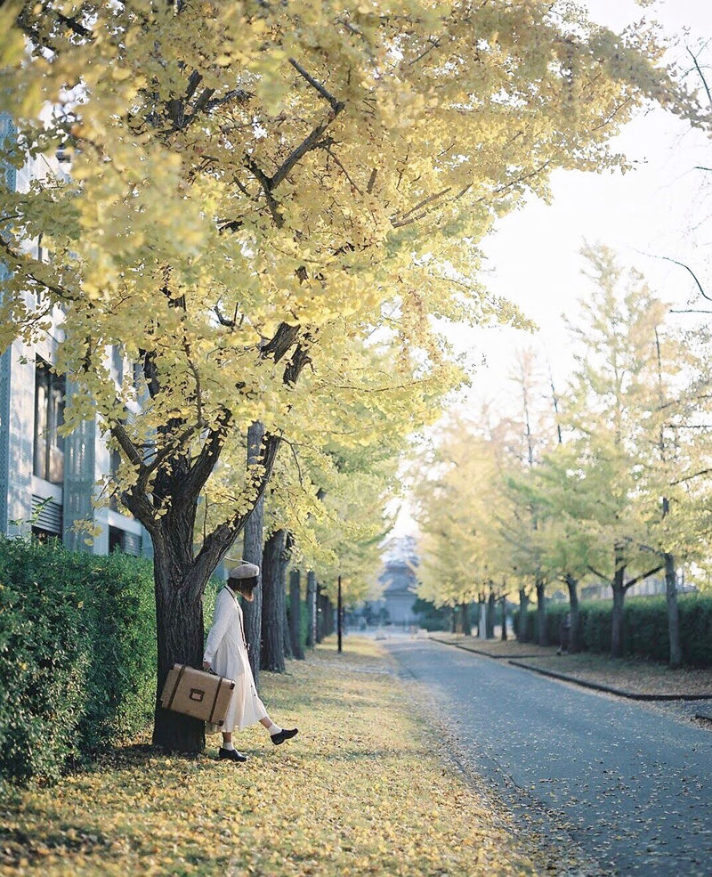 [摄影图包][ひろ(hiro_photograph)]instagram图包[1324P]