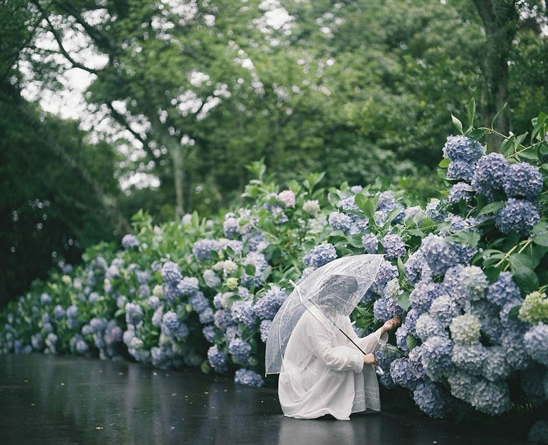 [摄影图包][ひろ(hiro_photograph)]instagram图包[1324P]