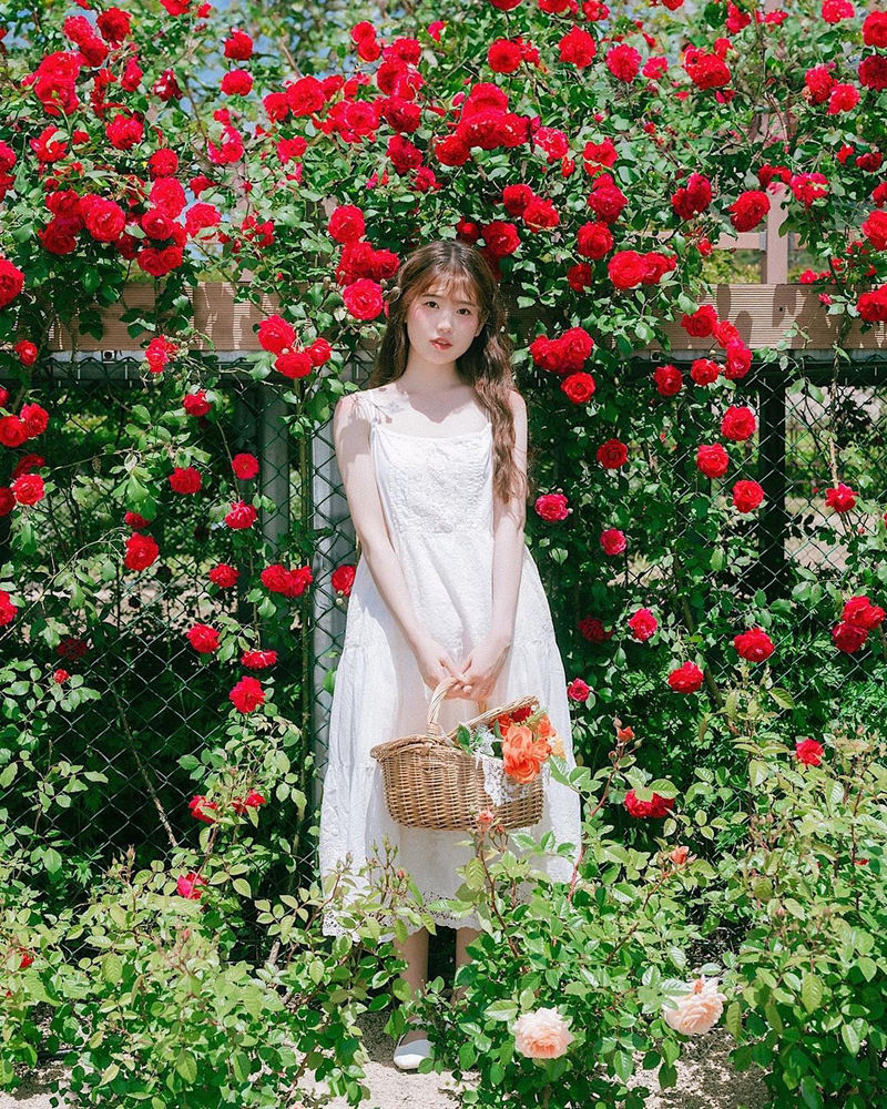 [摄影图包][iedemo graphy]instagram图包[12829P]