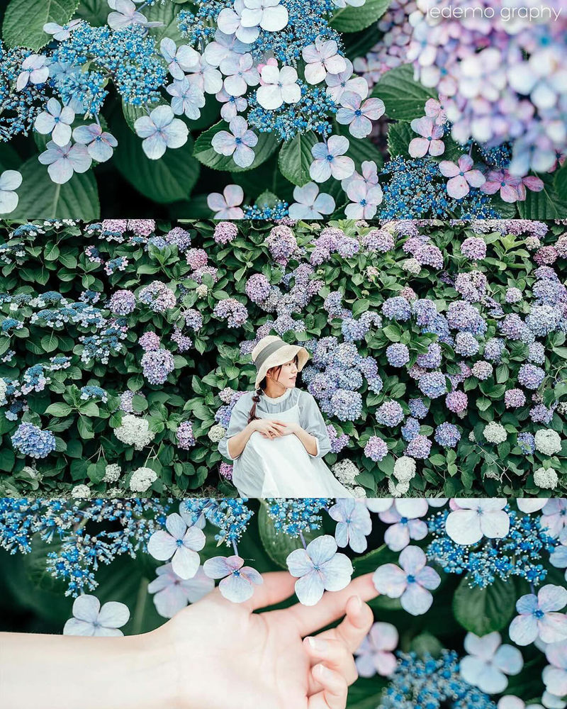 [摄影图包][iedemo graphy]instagram图包[12829P]