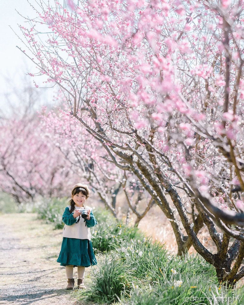 [摄影图包][iedemo graphy]instagram图包[12829P]