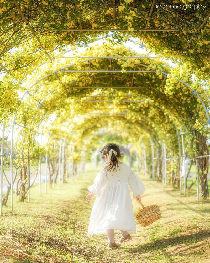 [摄影图包][iedemo graphy]instagram图包[12829P]