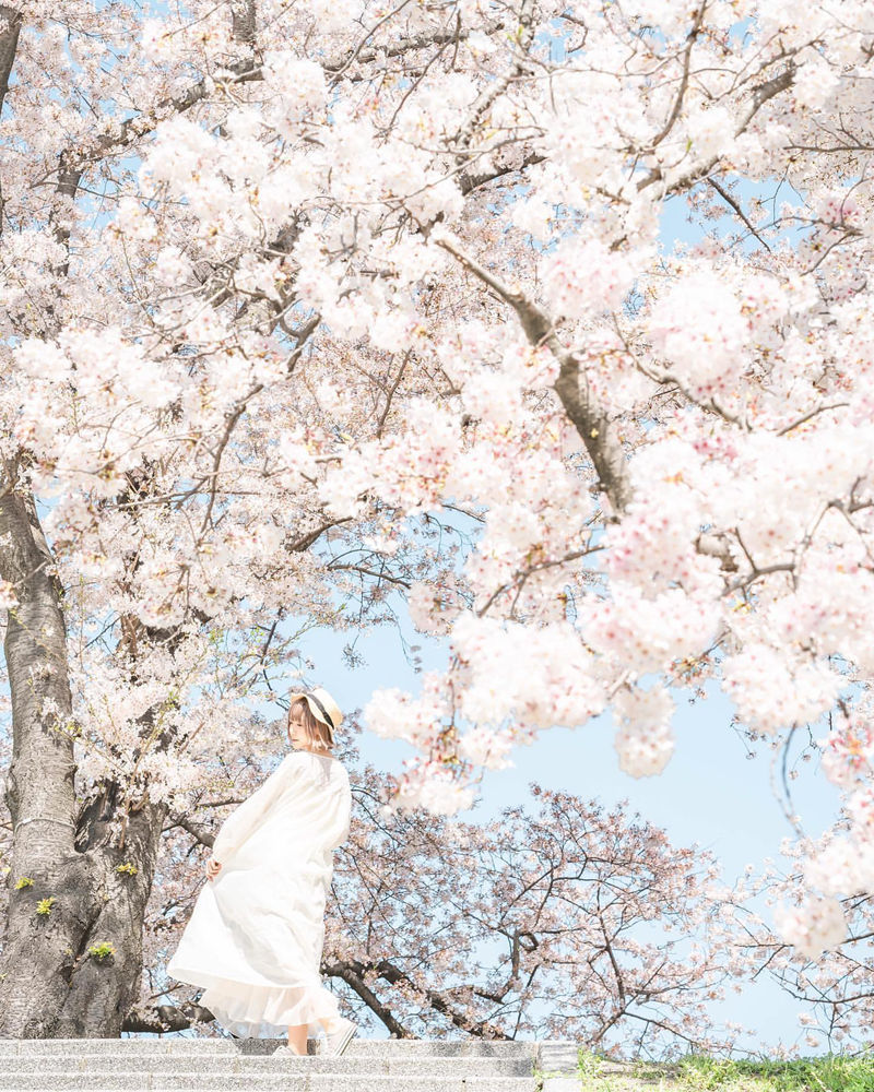 [摄影图包][iedemo graphy]instagram图包[12829P]