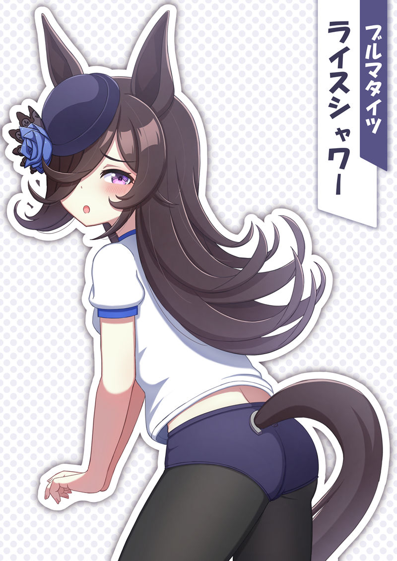 [画师推荐][かつしかゆき(kashiyuki_yuki)]Pixiv+推特图片包[700P]