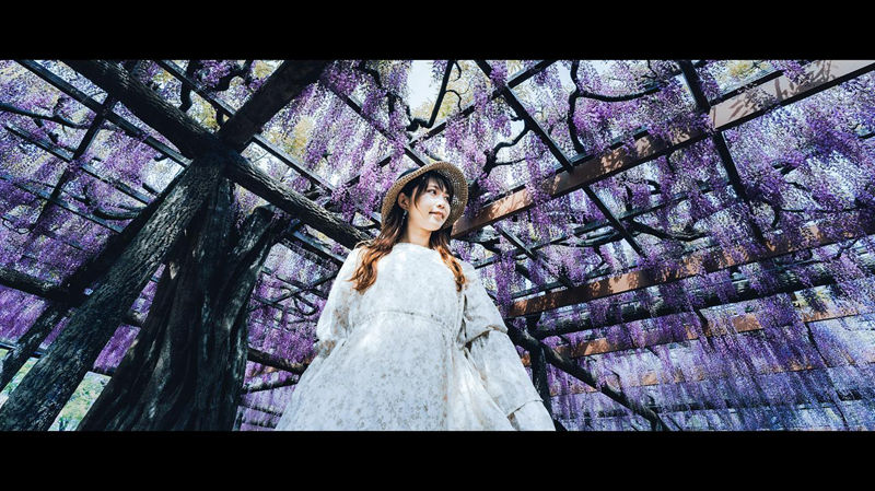 [摄影图包][miru(leomir_photo)]instagram图包[1199P]