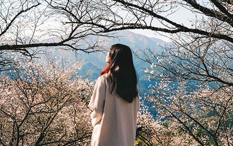 [摄影图包][葉山(lilhym_)]instagram图包[230P]