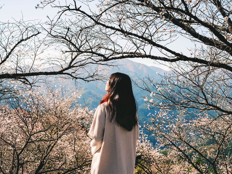 [摄影图包][葉山(lilhym_)]instagram图包[230P]
