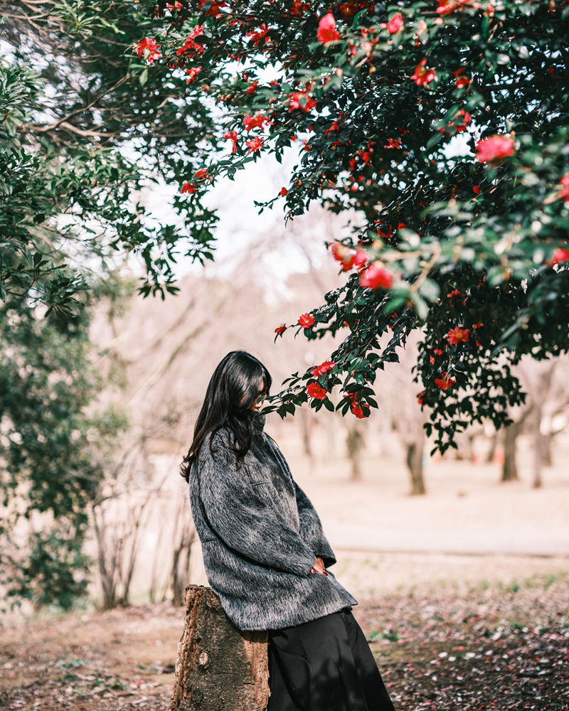 [摄影图包][葉山(lilhym_)]instagram图包[230P]