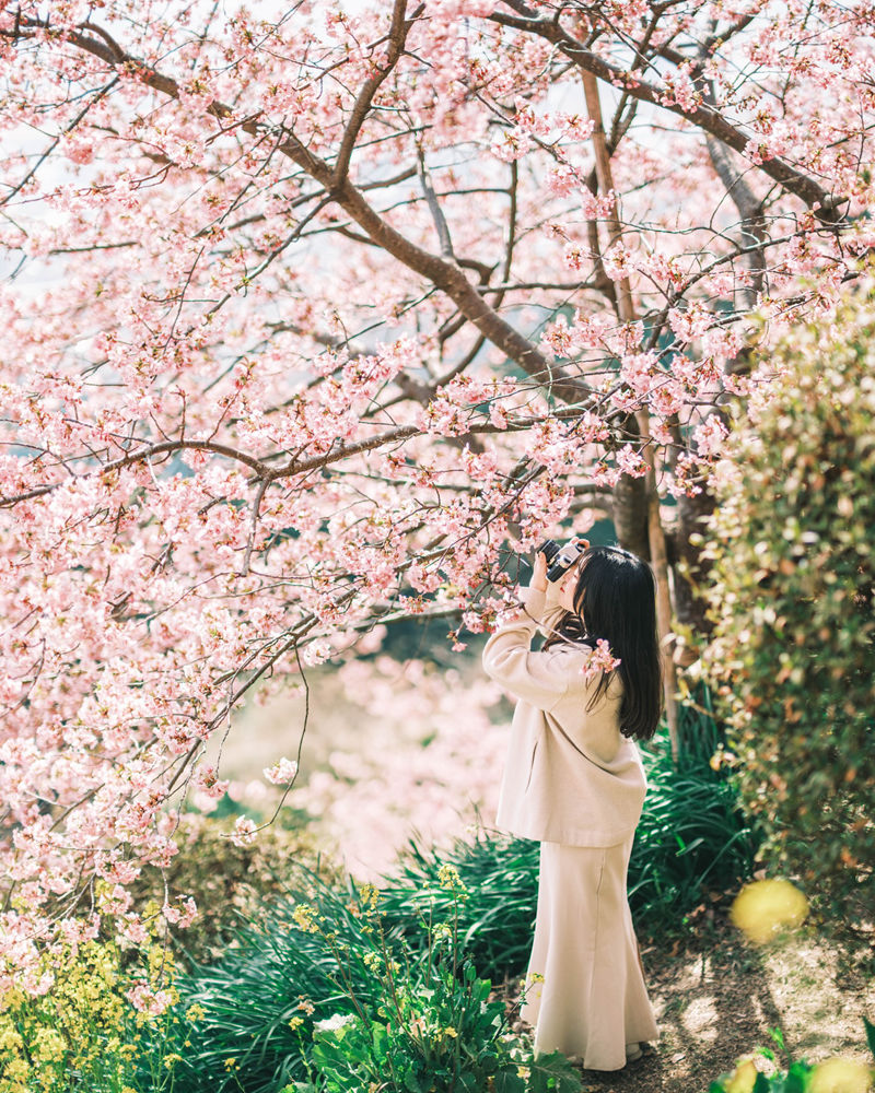 [摄影图包][葉山(lilhym_)]instagram图包[230P]