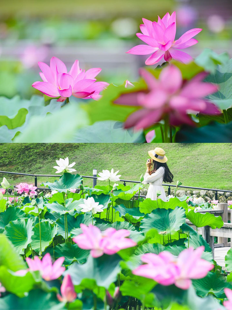 [摄影图包][LuLu(lulu_camera)]instagram图包[5548P]