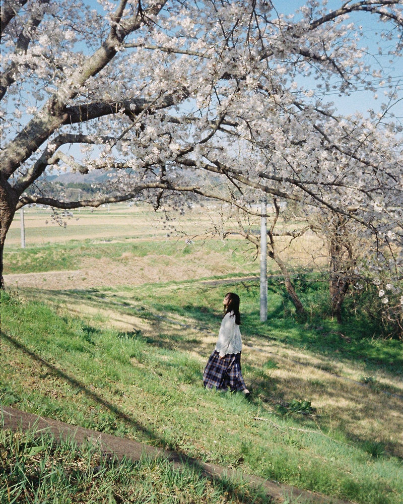 [摄影图包][wakana(nanaaa_photo)]instagram图包[7395P]