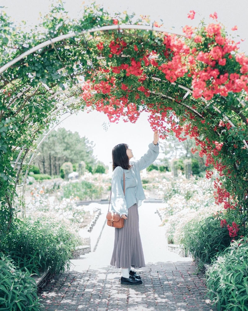 [摄影图包][Y:OHNO(ohno.4cf3)]instagram图包[12031P]