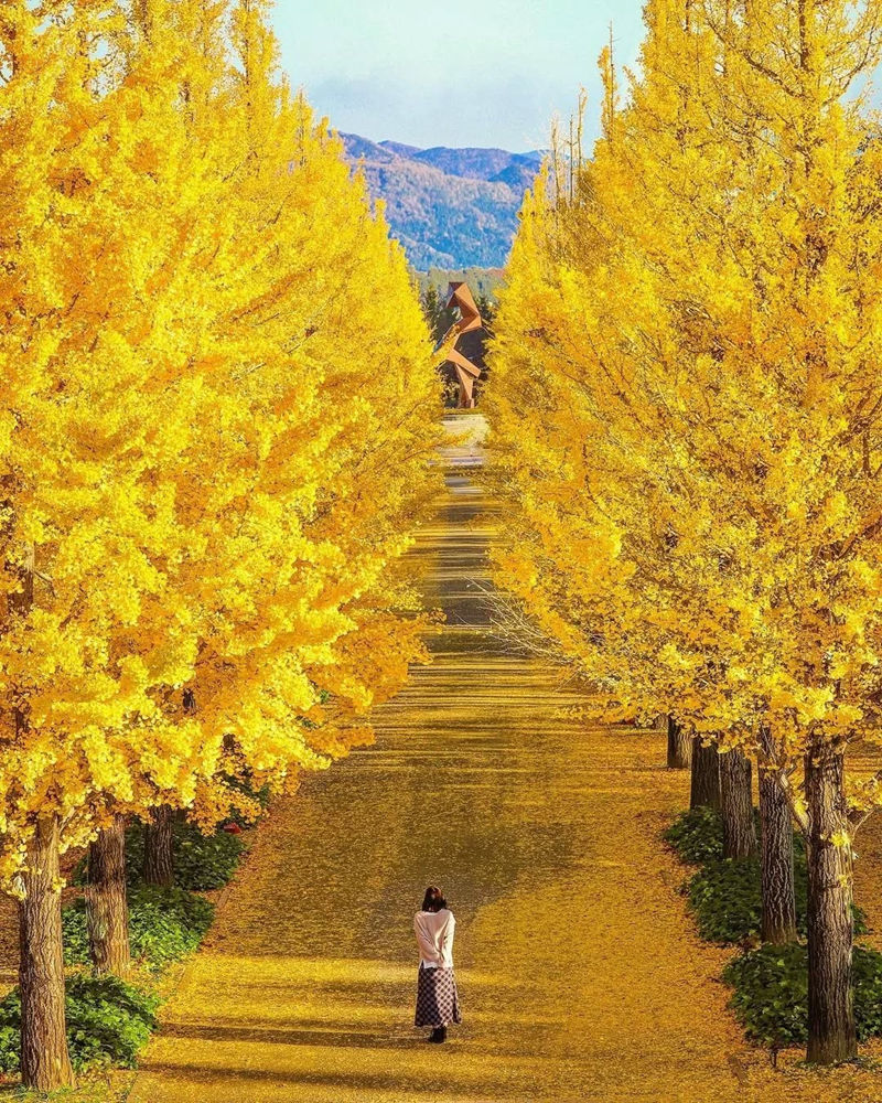 [摄影图包][日本の絶景(raw_japan_)]instagram图包[7535P]