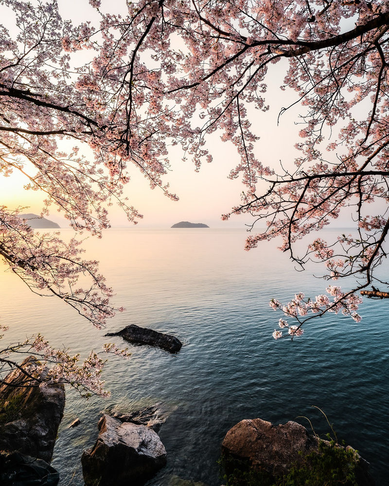 [摄影图包][日本の絶景(raw_japan_)]instagram图包[7535P]